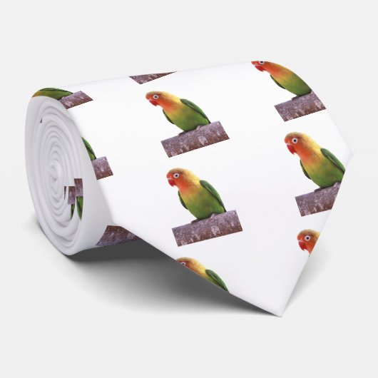 ルリゴシボタンインコ ネクタイ (ロール)
