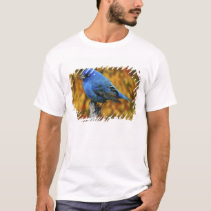 ルリノジコ雄(学名:Passerina cyanea) Tシャツ
