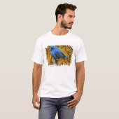 ルリノジコ雄(学名:Passerina cyanea) Tシャツ (正面フル)