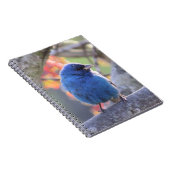 ルリノジコ ノートブック (右側)