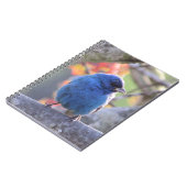 ルリノジコ ノートブック (左側)