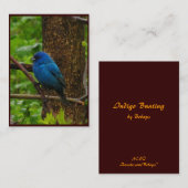 ルリノジコATC 名刺 (正面/裏面)