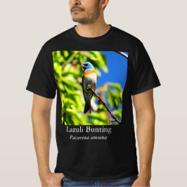 ルリノジコTシャツ Tシャツ