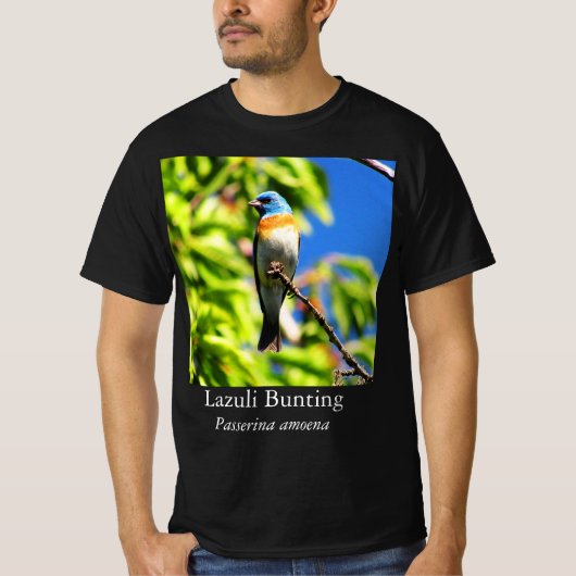 ルリノジコTシャツ Tシャツ (正面)