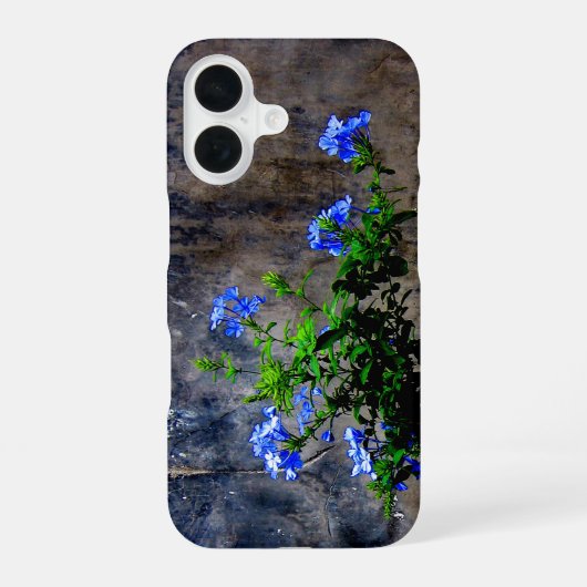 ルリマツリ iPhone 16ケース (裏面)