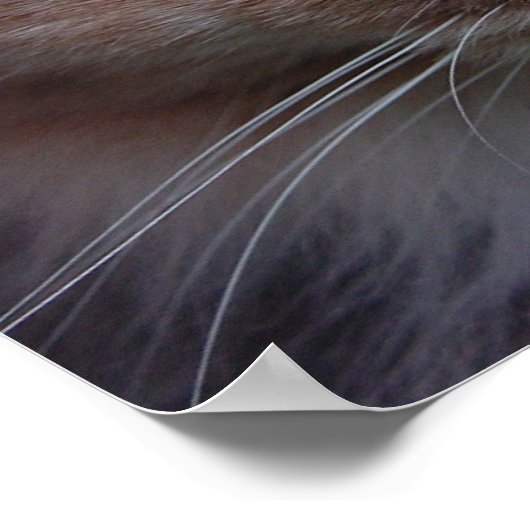 ルルが近づく ポスター (角)