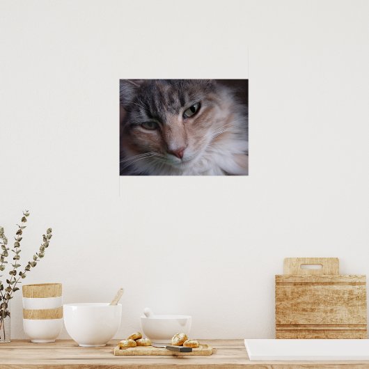 ルルが近づく ポスター (キッチン)