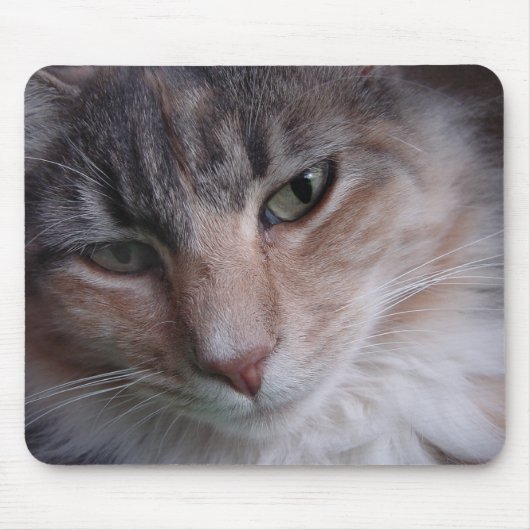 ルルが近づく マウスパッド (正面)