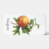 ルルドゥートによるビンテージ食品の果物、ざくろ Case-Mate iPhoneケース (裏面 (横))