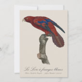 ルロリアンジュベリーズ サンキューカード (正面)