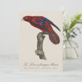 ルロリアンジュベリーズ サンキューカード (スタンド正面)