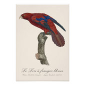 ルロリアンジュベリーズ フォトプリント            (正面)