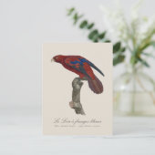 ルロリアンジュベリーズ ポストカード (スタンド正面)