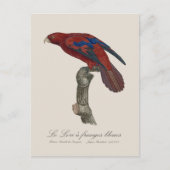 ルロリアンジュベリーズ ポストカード (正面)