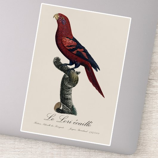 ルロリエカイユ シール