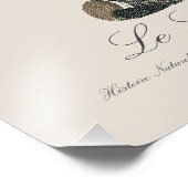 ルロリエカイユ フォトプリント            (角)