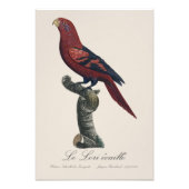 ルロリエカイユ フォトプリント            (正面)