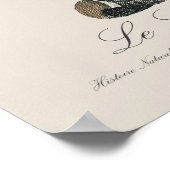 ルロリエカイユ ポスター (角)