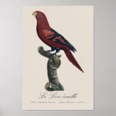 ルロリエカイユ ポスター (正面)