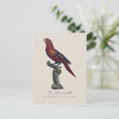 ルロリエカイユ ポストカード (スタンド正面)