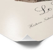 ルロリノワール フォトプリント            (角)