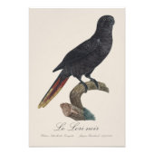 ルロリノワール フォトプリント            (正面)