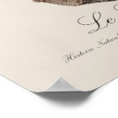 ルロリノワール ポスター (角)