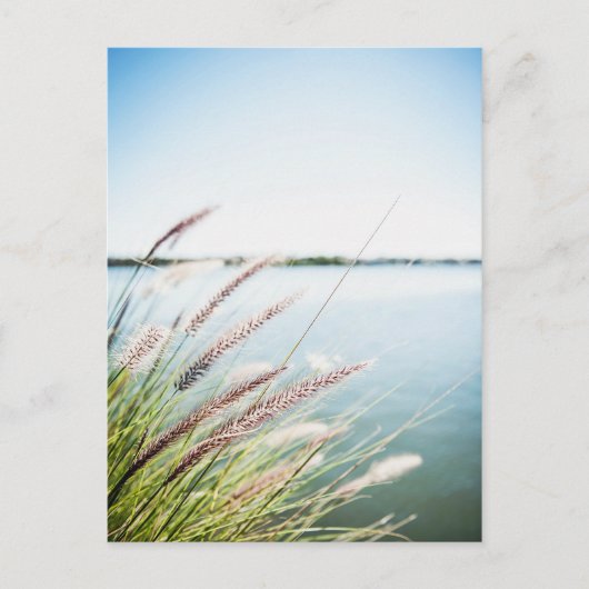 ルロンドデュサンローラン ポストカード (正面)