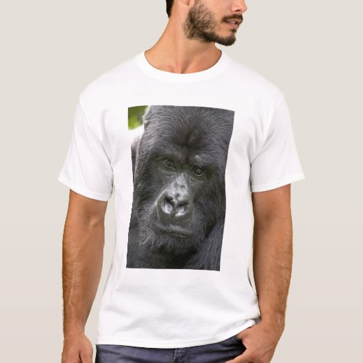 ルワンダの火山国立公園とマウンテンゴリラ Tシャツ (正面)