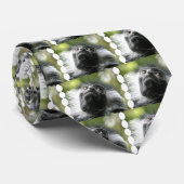 ルワンダのColobus猿の人のネクタイ ネクタイ (ロール)