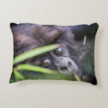 ルワンダアフリカのベビーのゴリラ