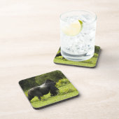 ルワンダ火山国立公園 コースター (右側)