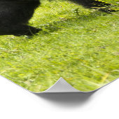 ルワンダ火山国立公園 ポスター (角)