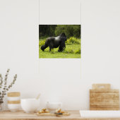 ルワンダ火山国立公園 ポスター (キッチン)