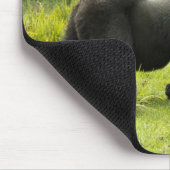 ルワンダ火山国立公園 マウスパッド (コーナー)