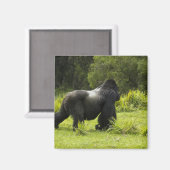 ルワンダ火山国立公園 マグネット (正面/裏面)