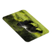 ルワンダ火山国立公園 マグネット (右側)