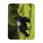 ルワンダ火山国立公園 マグネット (縦)