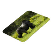 ルワンダ火山国立公園 マグネット (左側)