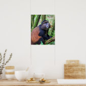 ルワンダ・ゴールデンモンキー ポスター (キッチン)