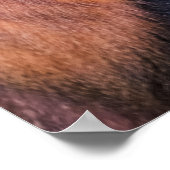 ルワンダ・ゴールデンモンキー ポスター (角)