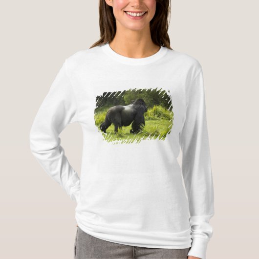 ルワンダ ヴォルカノーズ国立公園 Tシャツ (正面)
