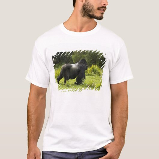 ルワンダ ヴォルカノーズ国立公園 Tシャツ (正面)