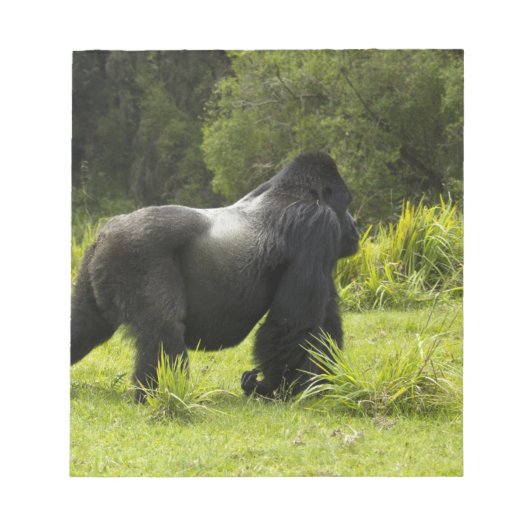 ルワンダ、火山国立公園 ノートパッド (正面)