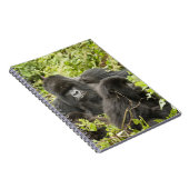 ルワンダ、火山国立公園 ノートブック (右側)