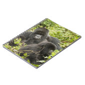 ルワンダ、火山国立公園 ノートブック (左側)