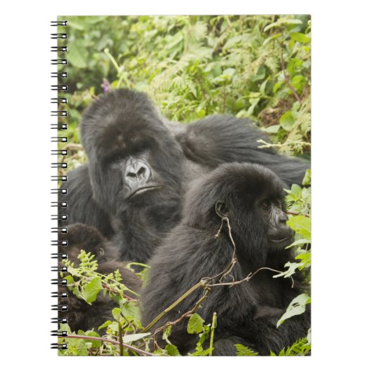 ルワンダ、火山国立公園 ノートブック (正面)