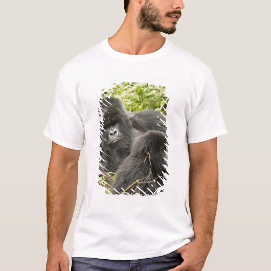ルワンダ、火山国立公園 Tシャツ (正面)
