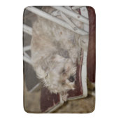 ルンプル バスマット (正面縦)