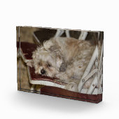 ルンプル フォトブロック (右)